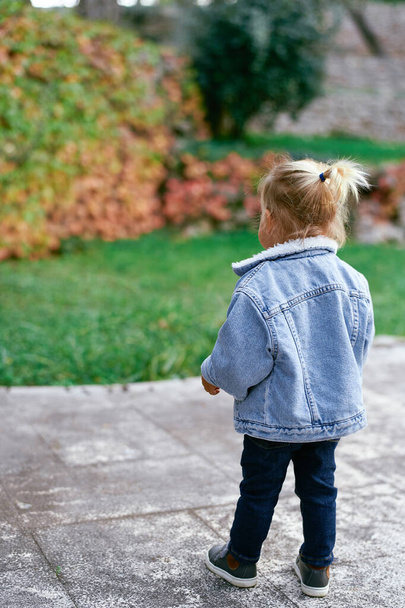 La bambina si trova su un sentiero lastricato e guarda gli alberi del parco. Vista posteriore. Foto di alta qualità - Foto, immagini