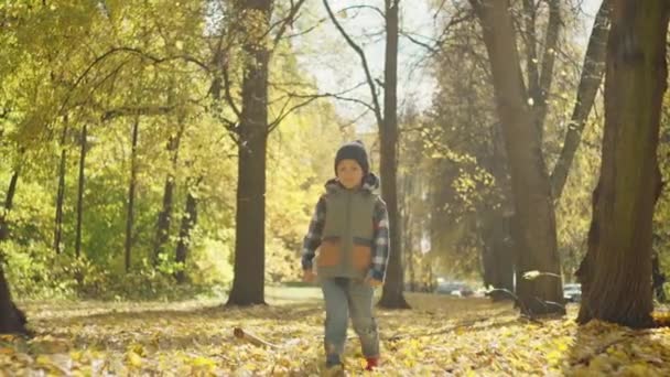Pendolari con foglie croccanti: bambini sorridenti si avventurano a scuola in mezzo al divertimento fogliare autunnale. Filmati 4k di alta qualità - Filmati, video