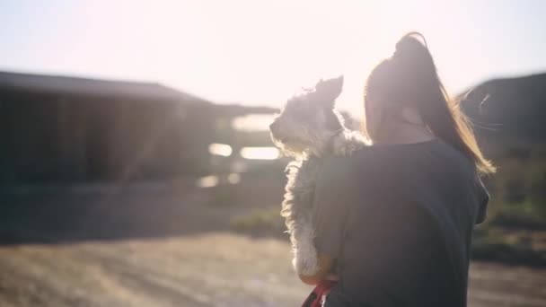 Back, pet and a woman walking with her dog on a farm in the countryside for freedom or adventure. Love, morning and an animal owner carrying her terrier puppy to their home in a rural village. - Footage, Video