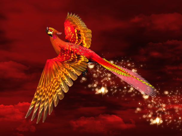 Phoenix a través de un cielo rojo
 - Foto, imagen