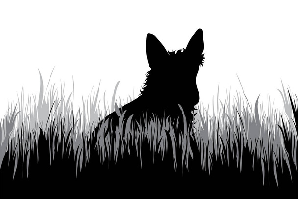 Silhouette vettoriale del cane che cammina nell'erba. Simbolo della natura e della natura. - Vettoriali, immagini