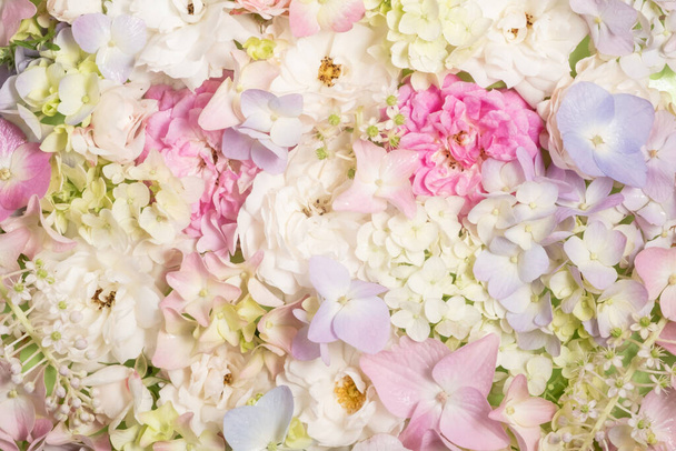 Jemné kvetoucí růže a květy hortenzie. Kvetoucí pastelové květy, slavnostní květinové pozadí, plný rám - Fotografie, Obrázek