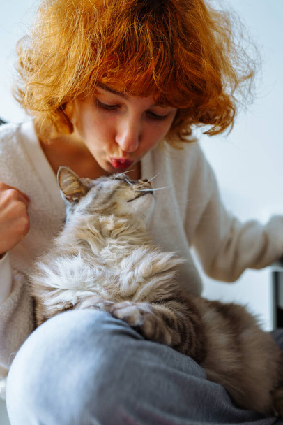 ritratto dai capelli rossi attraente sorridente ragazza adolescente in pullover bianco abbracciando soffice gatto domestico, in interni di casa - Foto, immagini