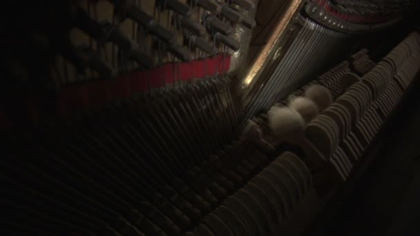 Zongora 1. mov - Felvétel, videó