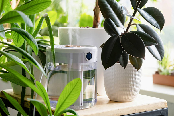 steam from the air humidifier during heating period, surrounded by houseplants. Plant care. Increasing moisture in the apartment. - Photo, Image