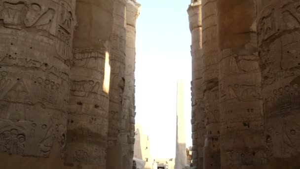 Columns in karnak temple - Materiaali, video