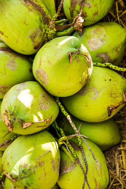 Existência de cocos frescos, Tailândia. - Foto, Imagem