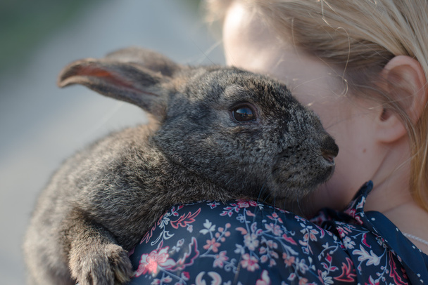 Девушка держит пасхального кролика
 - Фото, изображение