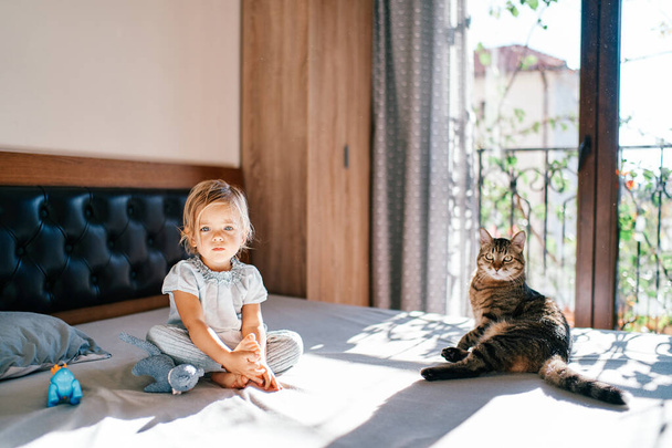 Little girl with her legs folded sits near a lying tabby cat on the bed. High quality photo - Photo, Image