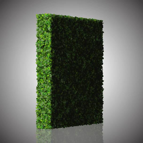 正方形、四角形は、白い背景に分離された緑の葉から作られます。3 d のレンダリング. - 写真・画像