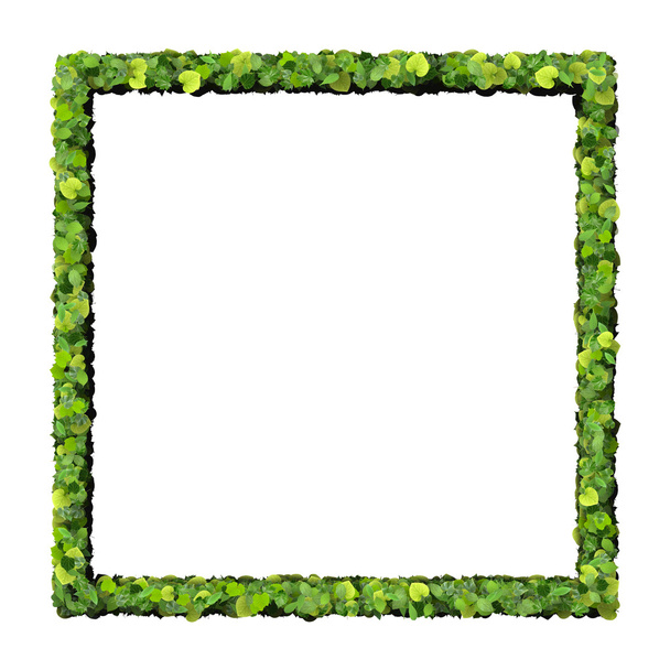 Square, quadrangle made from green leaves isolated on white background. 3D render. - Photo, Image
