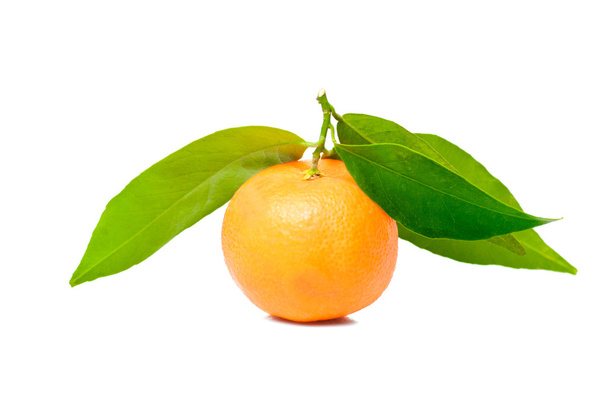 Tangerine with green leaves - Fotografie, Obrázek