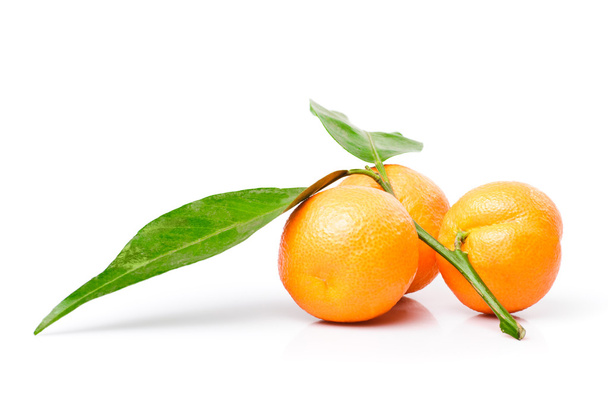 Mandarinas aisladas en blanco
 - Foto, imagen