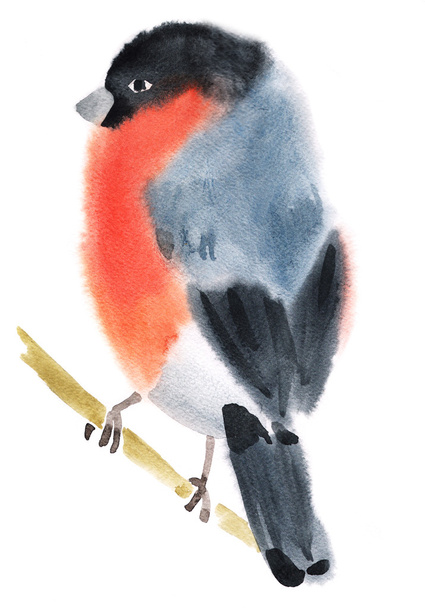 Watercolor illustration of a bird bullfinch - Fotoğraf, Görsel