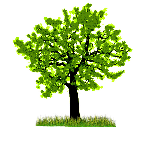 Ilustración de hermoso árbol de primavera con nuevas hojas frescas y hierba
. - Foto, imagen