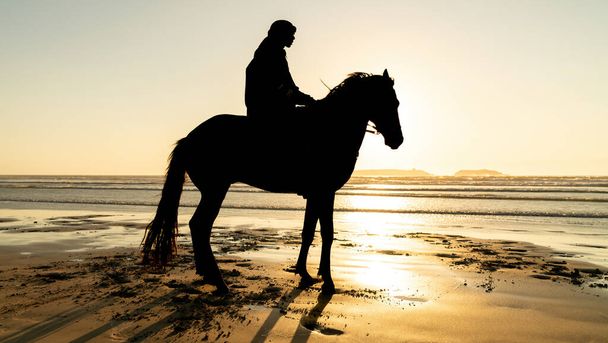 Fas 'taki Essaouira Mogador plajında bir atın silueti ve kimliği belirsiz bir binici. - Fotoğraf, Görsel