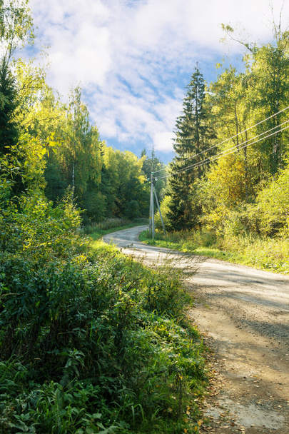 dirt road in the woods - Valokuva, kuva