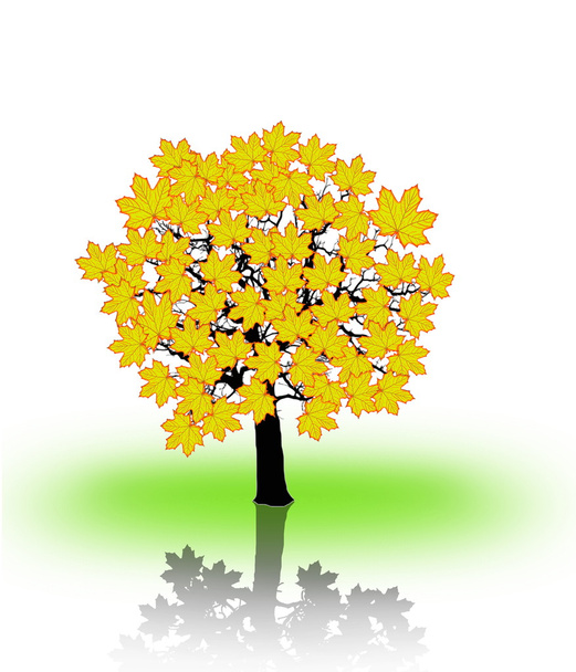 Árbol de arce con ramas hechas de hojas de otoño
. - Foto, Imagen