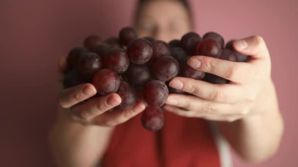 Bunch of grapes in the hands of a girl. Young woman shows a heap of pink grapes harvested by herself at studio. Delicious autumn natural dessert. High quality FullHD footage - Footage, Video