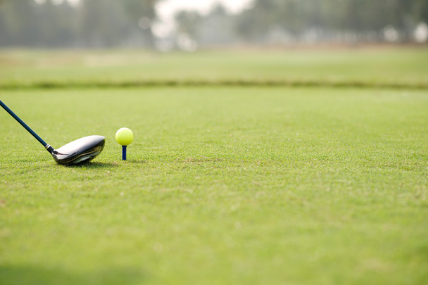 golf sopası ve top - Fotoğraf, Görsel