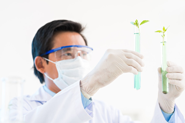 Ученые помещают растения в трубы
 - Фото, изображение