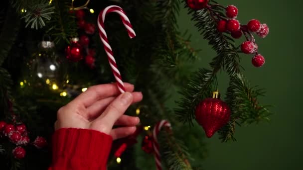 Közelkép a női kéz piros pulóver díszítő karácsonyfa csíkos cukorka és egyéb játékok. Karácsony és újév koncepció, gyönyörű ünnep videó, háttér. Üdülőfa. - Felvétel, videó