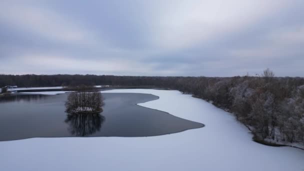 Зима Снігове озеро лісове хмарне небо Німеччина. безпілотник. спущений безпілотник Високоякісні 4k кадри - Кадри, відео
