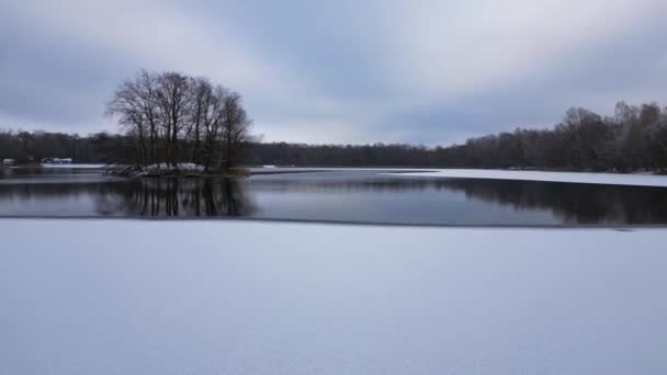 Winter Sneeuw ijs meer hout bos bewolkte hemel Duitsland. Een drone. fly reverse drone Hoge kwaliteit 4k beeldmateriaal - Video