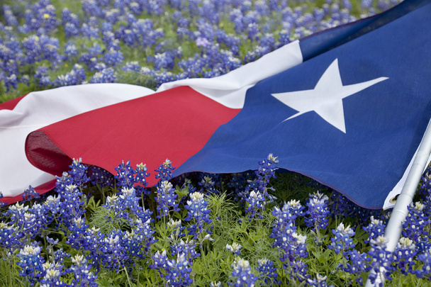 Texasin lippu joukossa bluebonnet kukkia kirkas kevät päivä
 - Valokuva, kuva