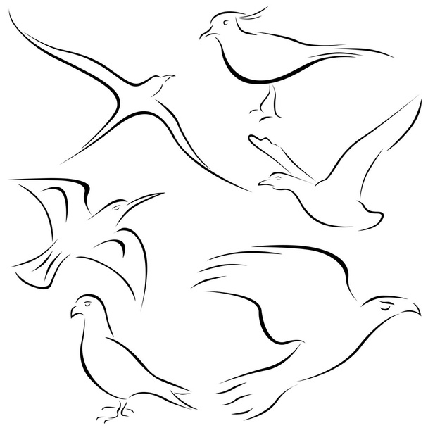 Diseños de aves
 - Vector, Imagen