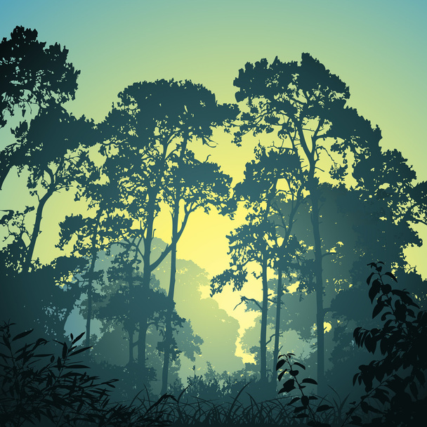 Bosque paisaje
 - Vector, Imagen