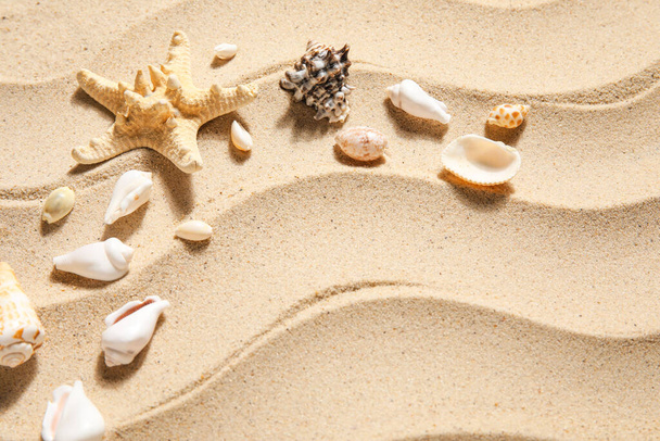 Moldura feita de estrelas do mar e conchas - Foto, Imagem