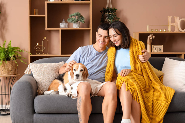 Jeune couple avec chien beagle mignon à la maison - Photo, image