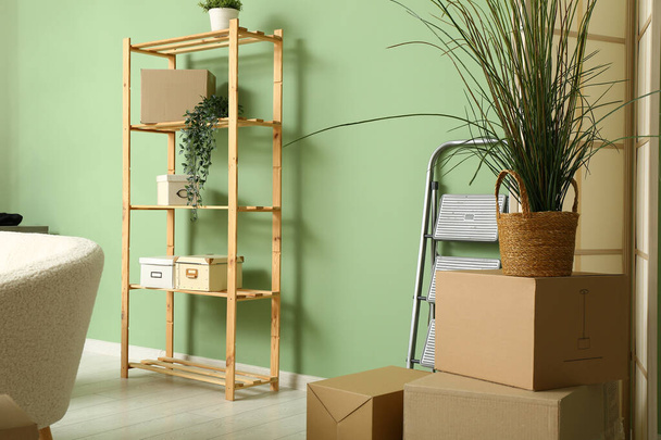 Kartonnen dozen met planten- en trapladder in woonkamer op beweegbare dag - Foto, afbeelding