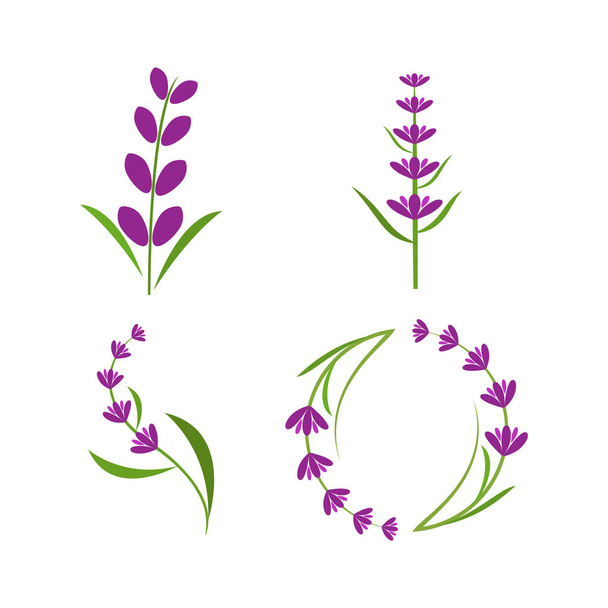 Fresco flor de lavanda logo vector diseño plano - Vector, Imagen