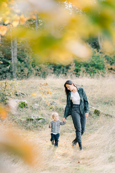 Blick durch die gelben Blätter auf die Mutter mit einem kleinen Mädchen, das auf einer grünen Wiese spaziert. Hochwertiges Foto - Foto, Bild
