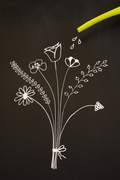 Zalévání květin na tabuli - Fotografie, Obrázek