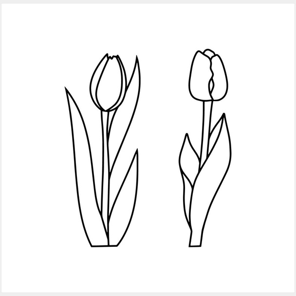Esquema tulipán aislado Dibujo para colorear libro Doodle flor Dibujado a mano línea de arte Vector stock ilustración EPS 10 - Vector, imagen