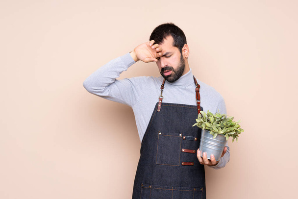 Mann hält Pflanze mit müdem und krankem Gesichtsausdruck über isoliertem Hintergrund - Foto, Bild