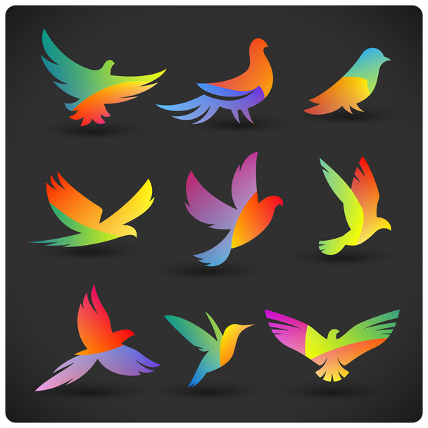 Kolorowe ptaki latające - Wektor, obraz