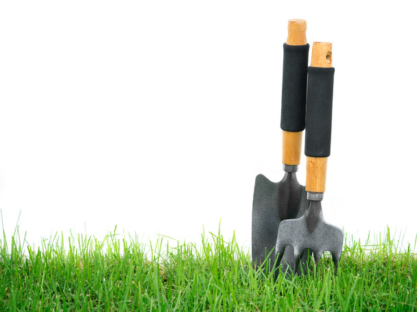 Fork and spade on the green grass - Foto, immagini