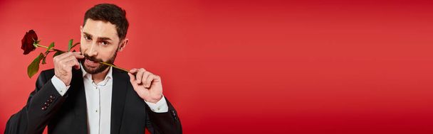 Kırmızıda gül tutan sakallı adam, Sevgililer Günü, yatay afiş - Fotoğraf, Görsel