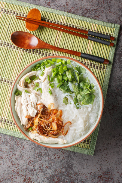 Sopa de fideos de pollo asiático con cebolla frita, cebolla verde y cilantro de cerca en un tazón sobre la mesa. Vista superior vertical desde arriba - Foto, Imagen
