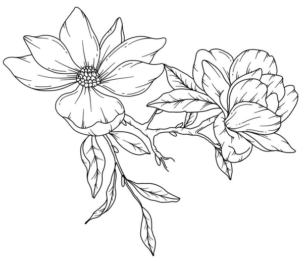 Magnolia vonalrajz. Fekete-fehér virágcsokrok. Virágszínező oldal. Virágos vonalművészet. Fine Line Magnolia illusztráció. Kézzel rajzolt virágok. Botanikai színezés. Esküvői meghívó virágok - Vektor, kép