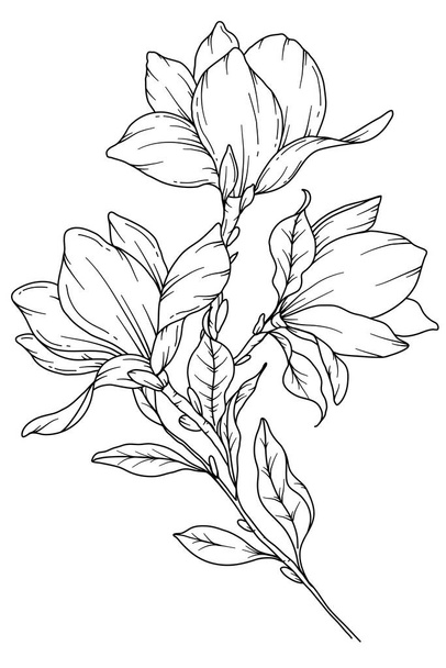 Magnoliina kresba čáry. Černobílé květinové kytice. Stránka zbarvení květin. Květinová čára umění. Jemná čára Magnolia ilustrace. Ručně kreslené květiny. Botanické zbarvení. Svatební pozvánky květiny - Vektor, obrázek