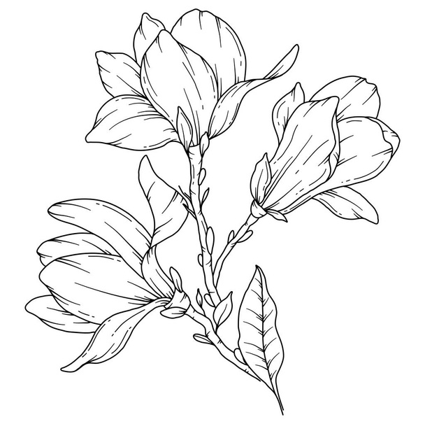 Magnoliina kresba čáry. Černobílé květinové kytice. Stránka zbarvení květin. Květinová čára umění. Jemná čára Magnolia ilustrace. Ručně kreslené květiny. Botanické zbarvení. Svatební pozvánky květiny - Vektor, obrázek