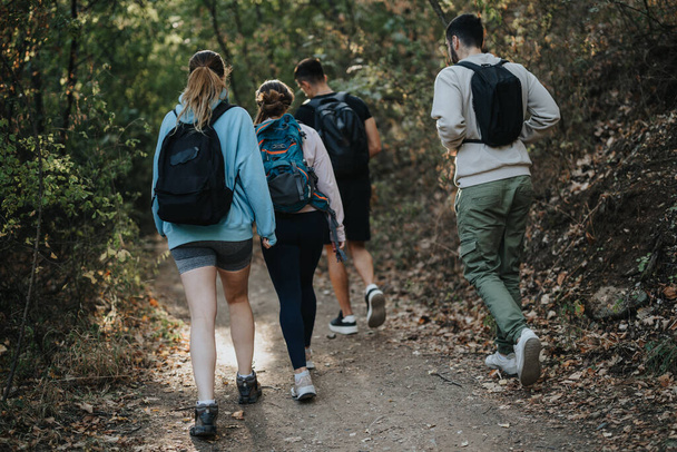 Athletic hikers exploring a forest landscape, enjoying a sunny day together while engaging in physical activity and having fun conversations. Perfect for adventure travel and outdoor recreation. - Photo, Image