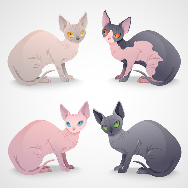 Sphynx cats - Vector, Image