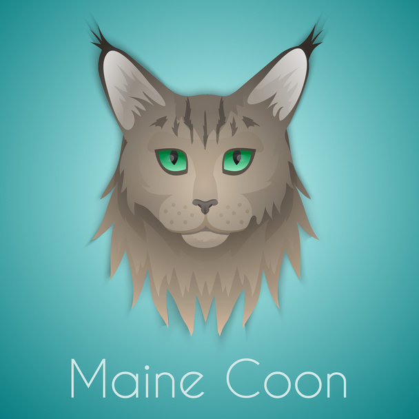 Maine coon - Vector, Image