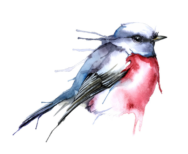 Watercolor style of bird. - Vektör, Görsel